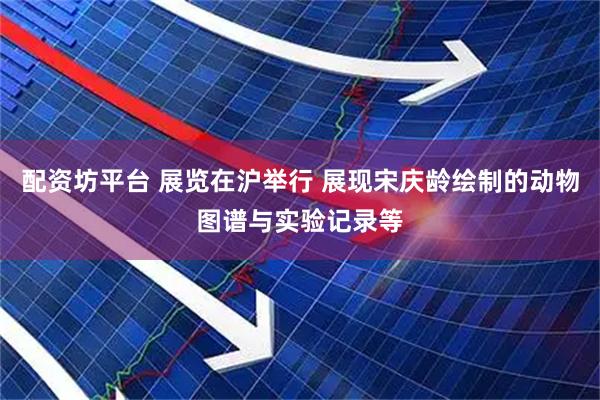 配资坊平台 展览在沪举行 展现宋庆龄绘制的动物图谱与实验记录等