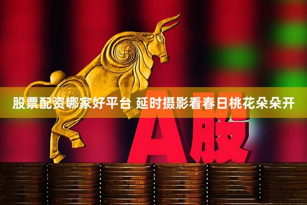 股票配资哪家好平台 延时摄影看春日桃花朵朵开