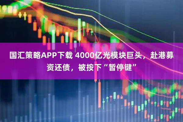 国汇策略APP下载 4000亿光模块巨头，赴港募资还债，被按下“暂停键”