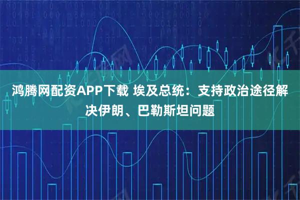 鸿腾网配资APP下载 埃及总统：支持政治途径解决伊朗、巴勒斯坦问题